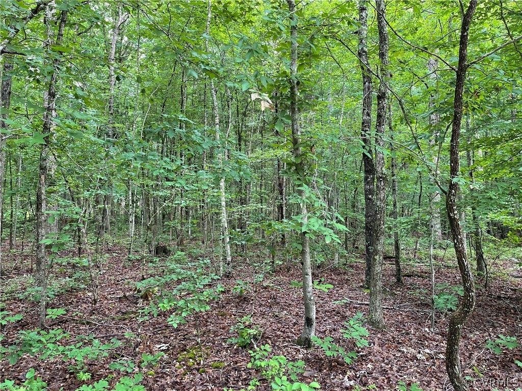 2 Acres, 2 Acres Crews Ln (off of Three Bridge Rd), Powhatan, VA 23139