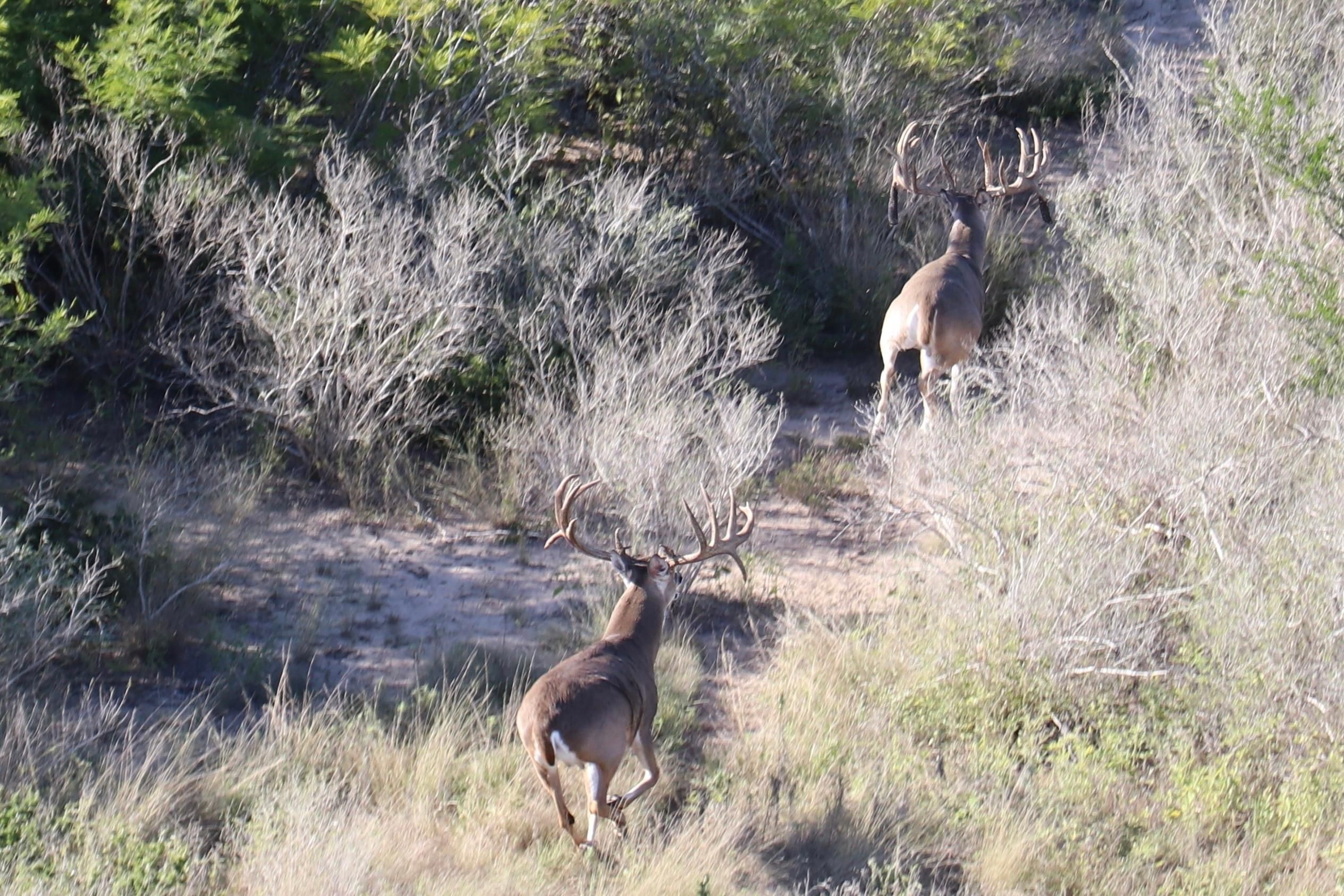 3,467 acres in West, TX, 78022 Land and Farm