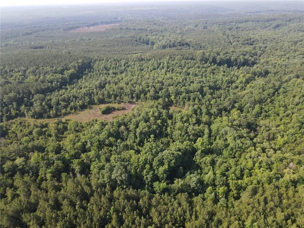 45 Acres, 0 COUNTY ROAD 78, Lafayette, AL 36862 Land and Farm