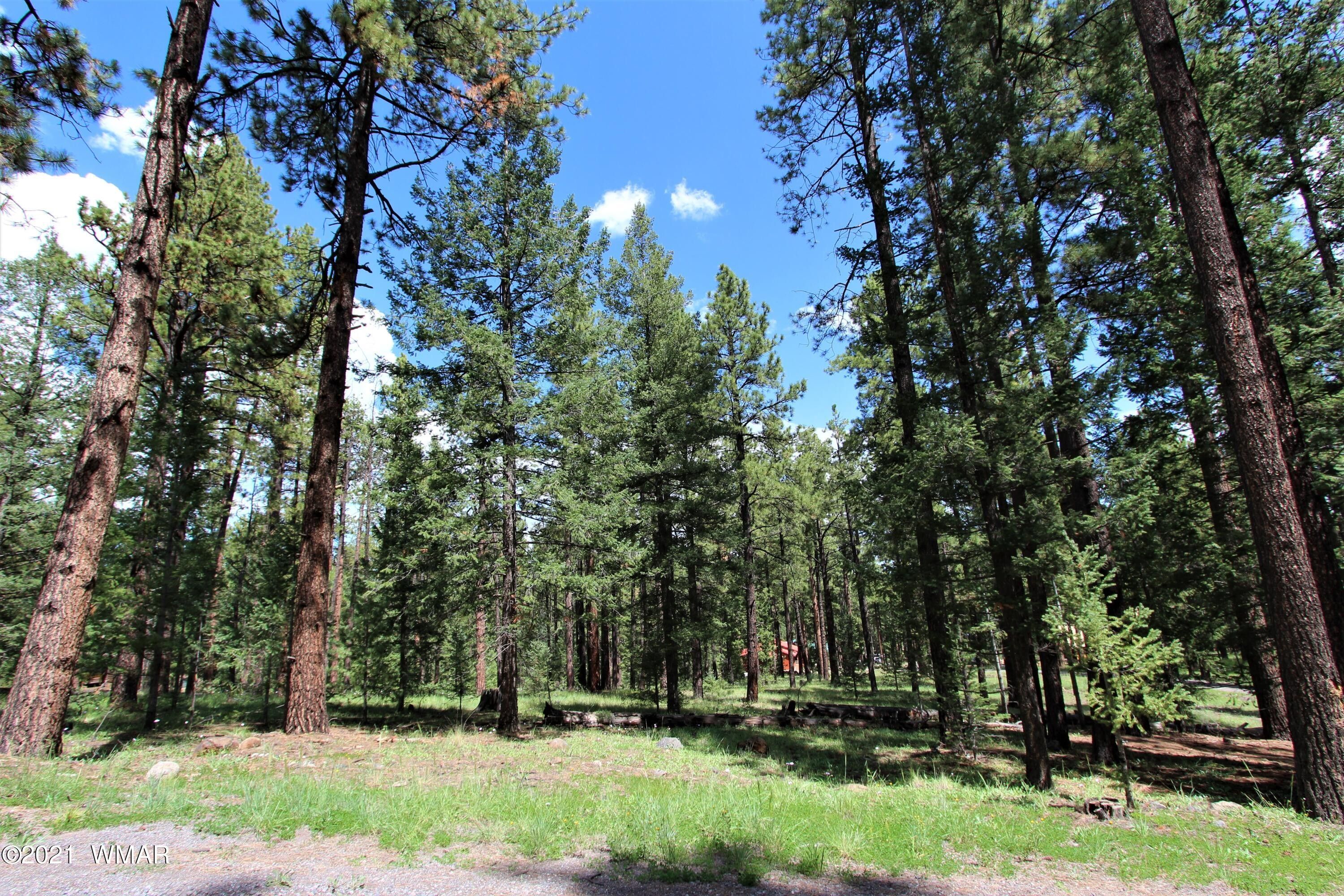 1.01 Acres, 33 N1068, Greer, AZ 85927 Land and Farm