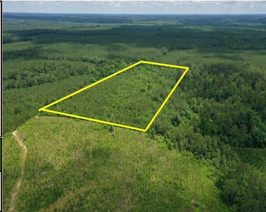 20 Acres, Princeton, AR 71725 Land and Farm