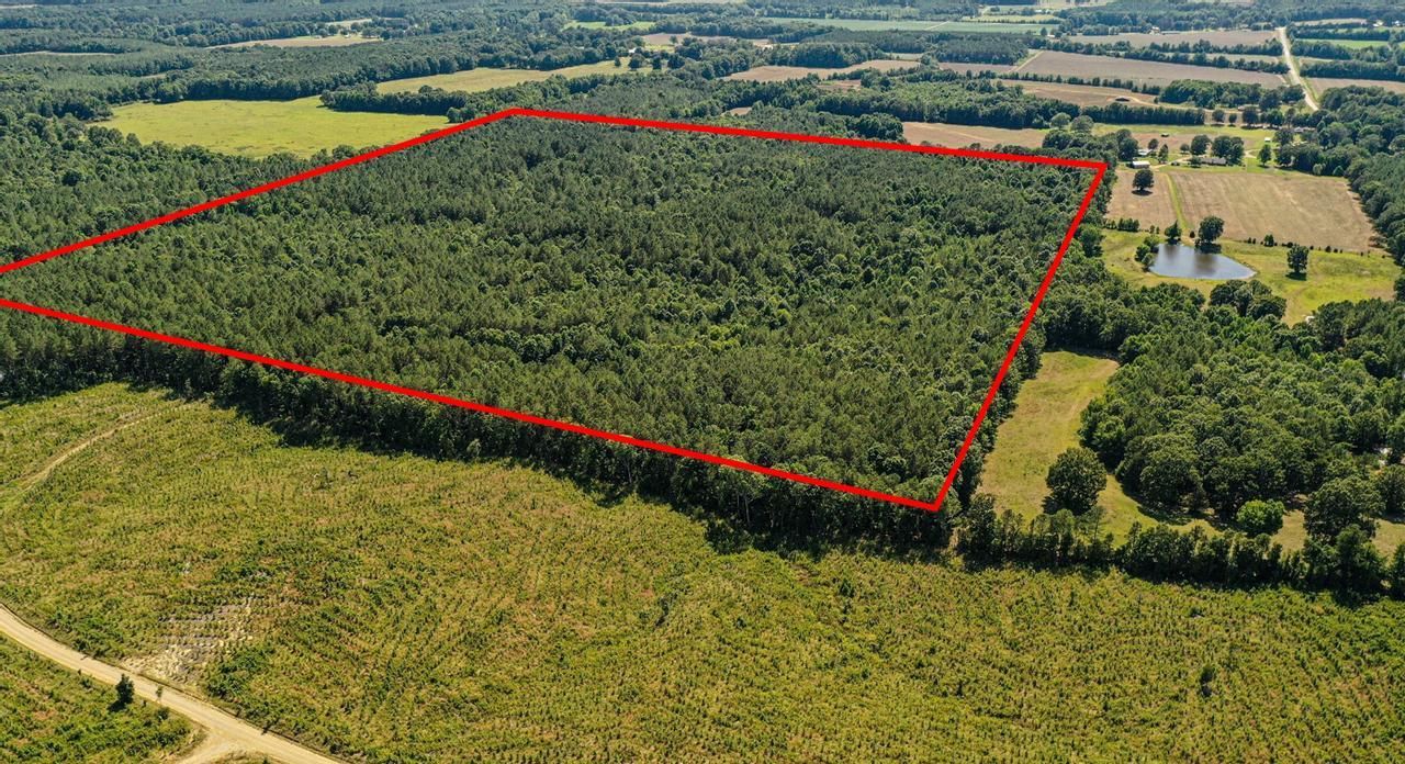 100 Acres, Bull Mountain Road, Vardaman, MS 38878 Land and Farm