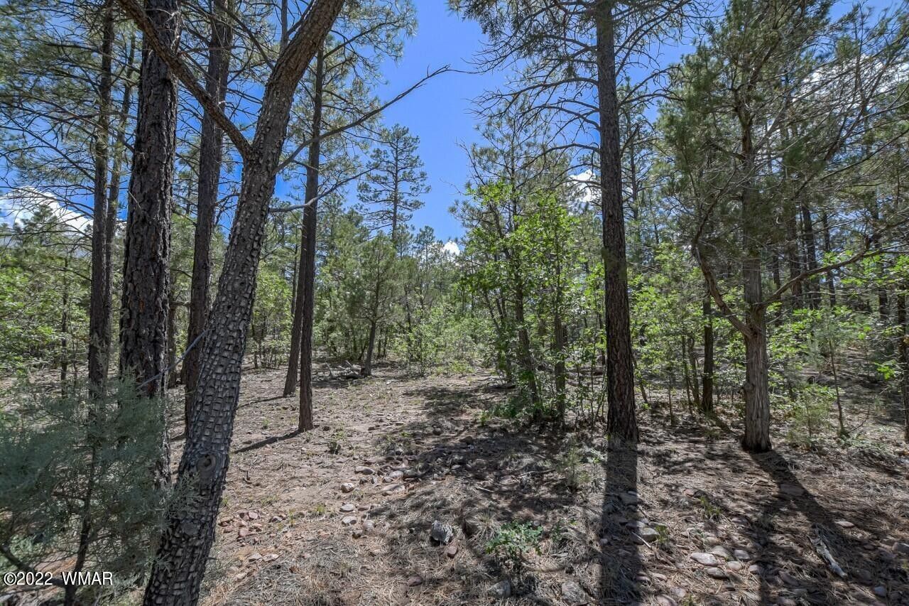 1.14 Acres, 2011 S Sierra Park Trail, Show Low, AZ 85901 Land and Farm