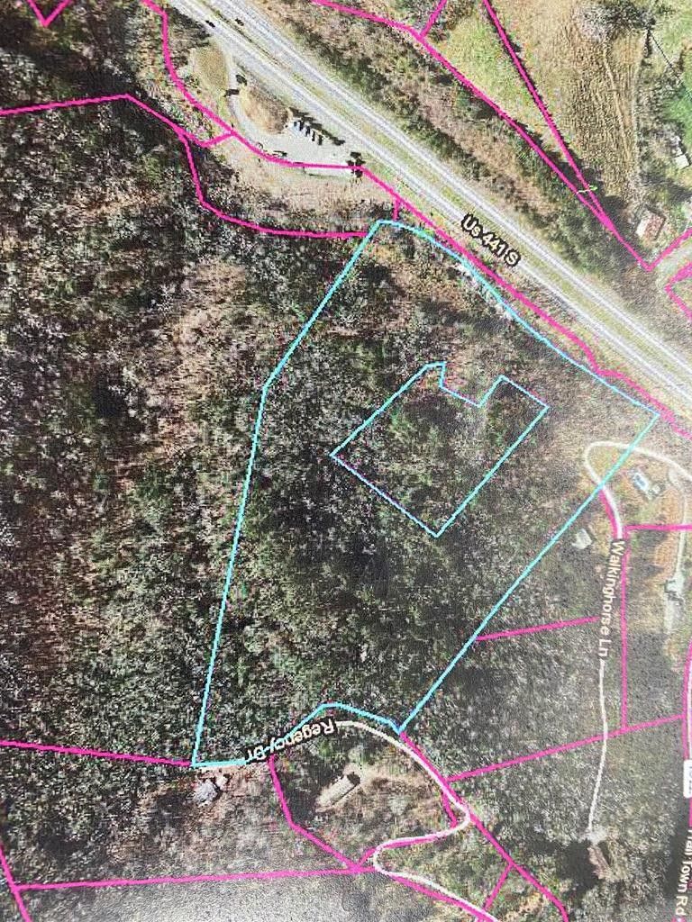 Walkinghorse Lane, Sylva, NC 28779 MLS 26026784 Land and Farm