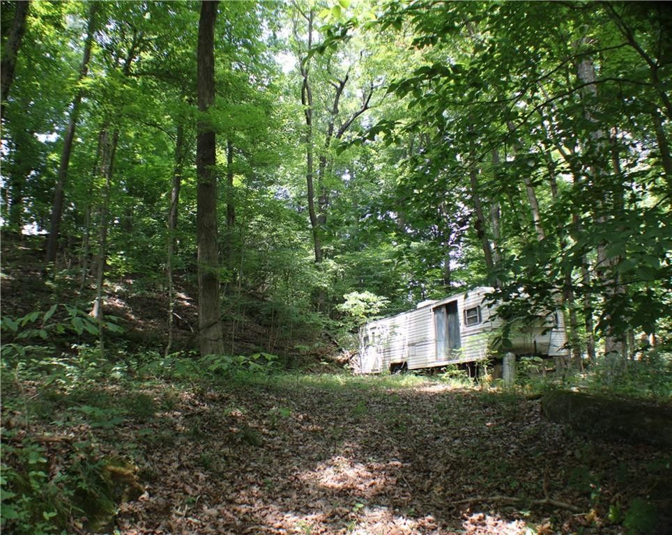 6.11 Acres, 0 North Road, Taswell, IN 47175 Land and Farm