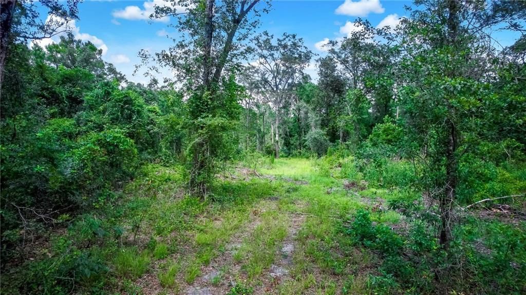 000 Tracy Road, Hilliard, FL 32046 MLS 100911 Land and Farm