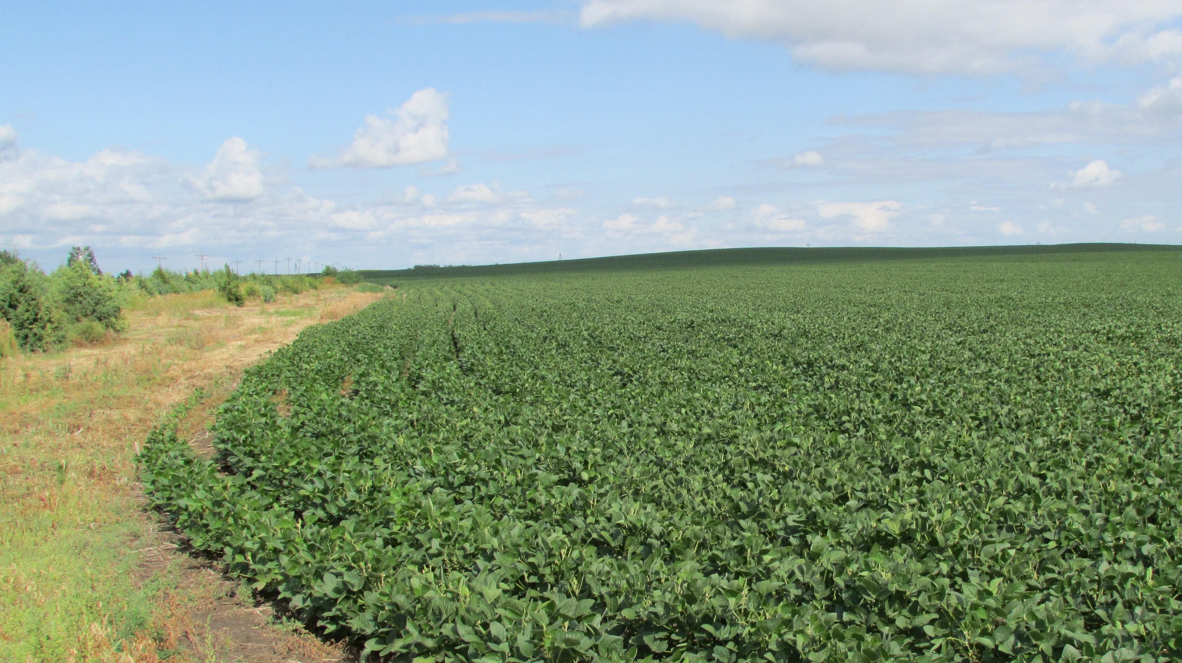 200 acres in Pierre, SD, 57501 Land and Farm