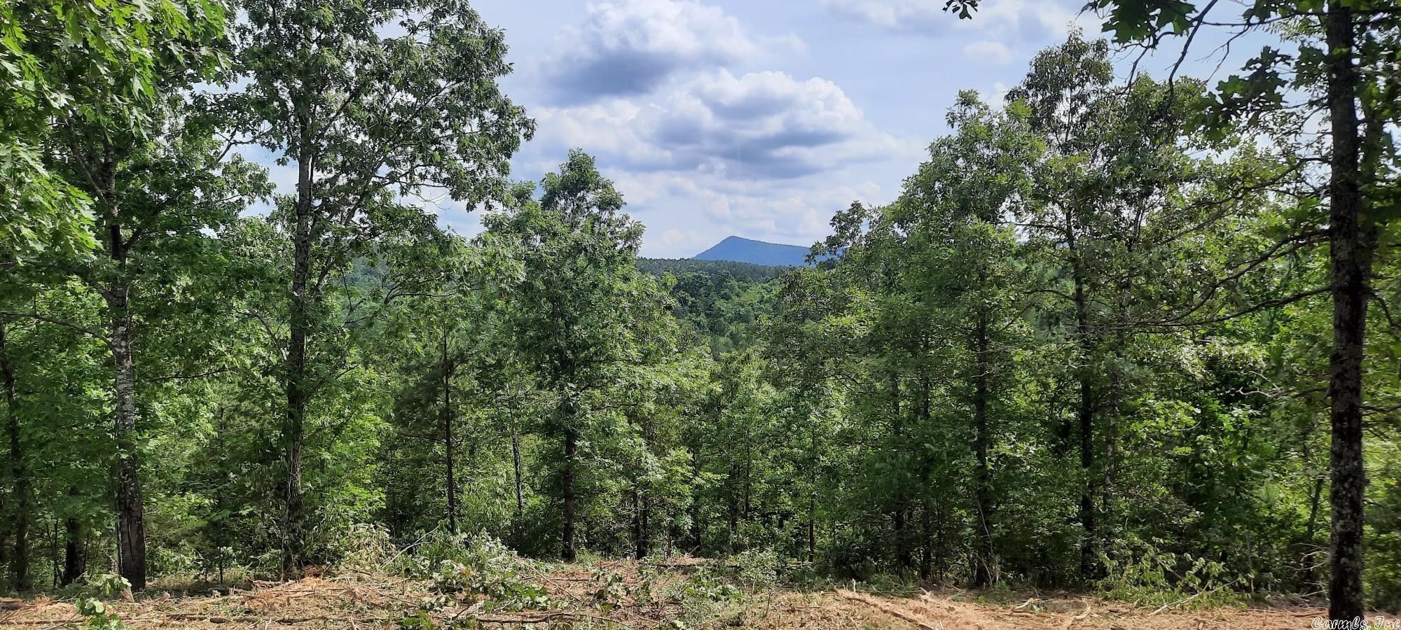 60 Acres, TBD Manfred Road, Caddo Gap, AR 71935 Land and Farm