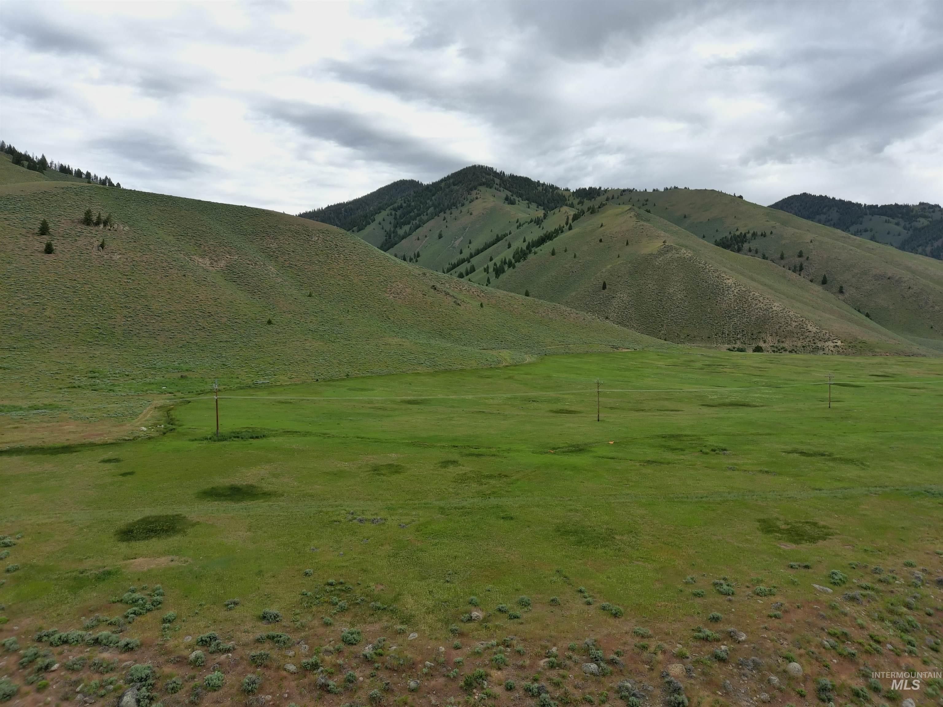 11.38 Acres, Lot 3 Aspen Gulch, Stanley, ID 83278 Land and Farm