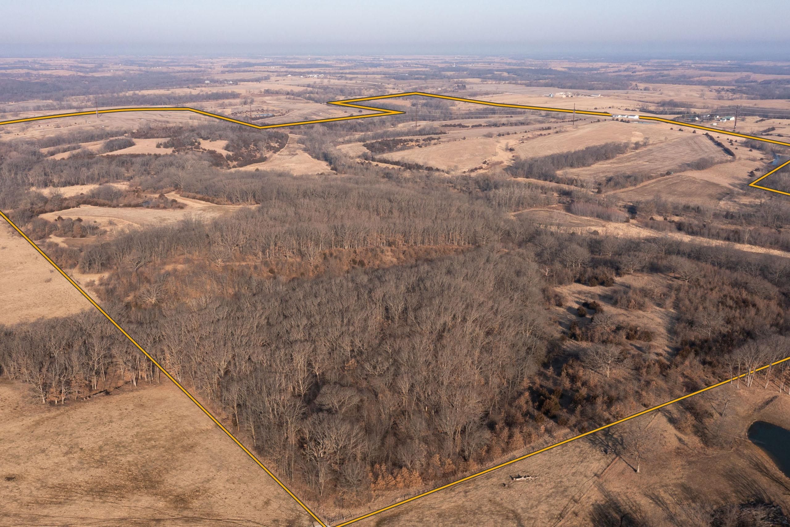 11183 210th Street, Bloomfield, IA 52537 Land and Farm