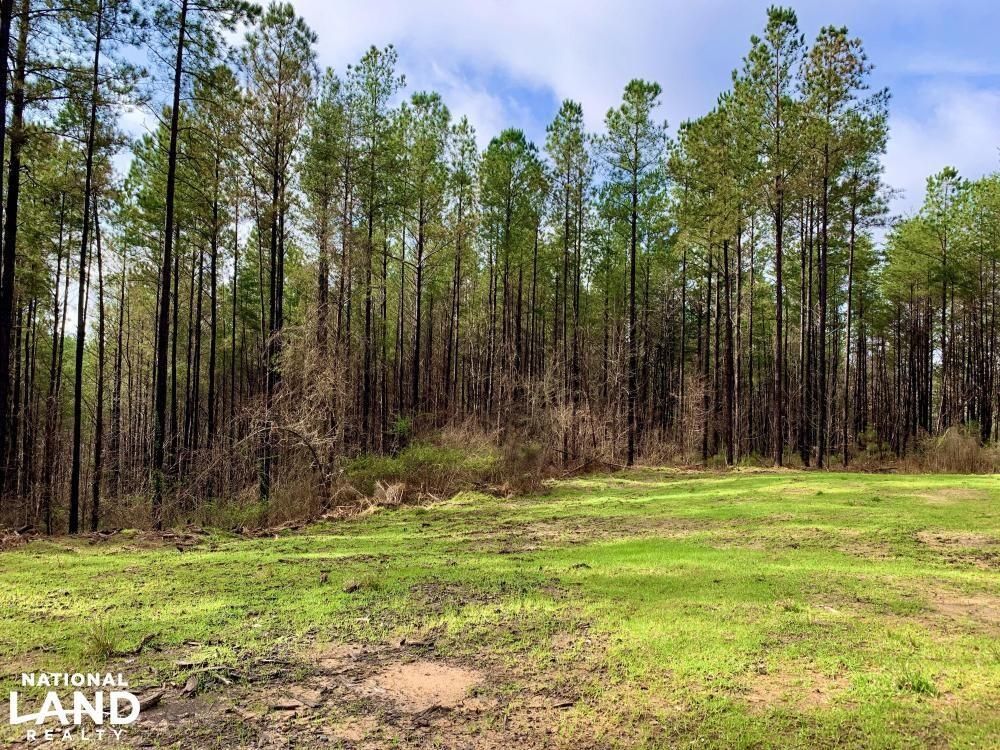 0 Pea Ridge Road, Berry, AL 35546 Land and Farm