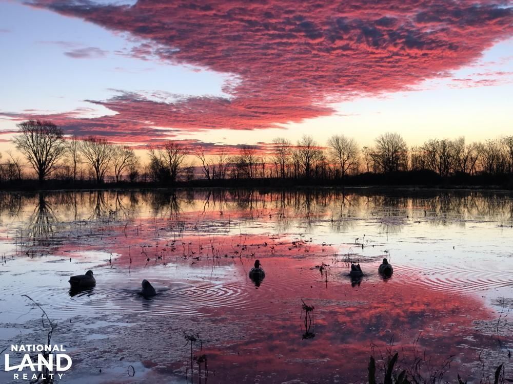 Catfish Rd Isola, MS., Isola, MS 38754 Land and Farm