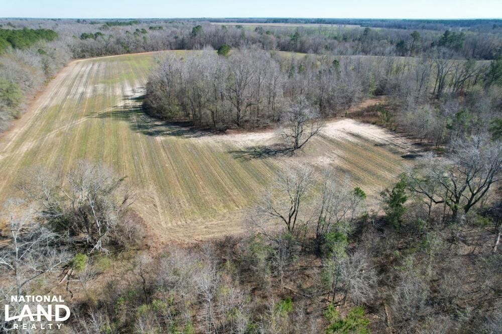 79 Acres, Bull Branch Road, Midville, GA 30441 Land and Farm