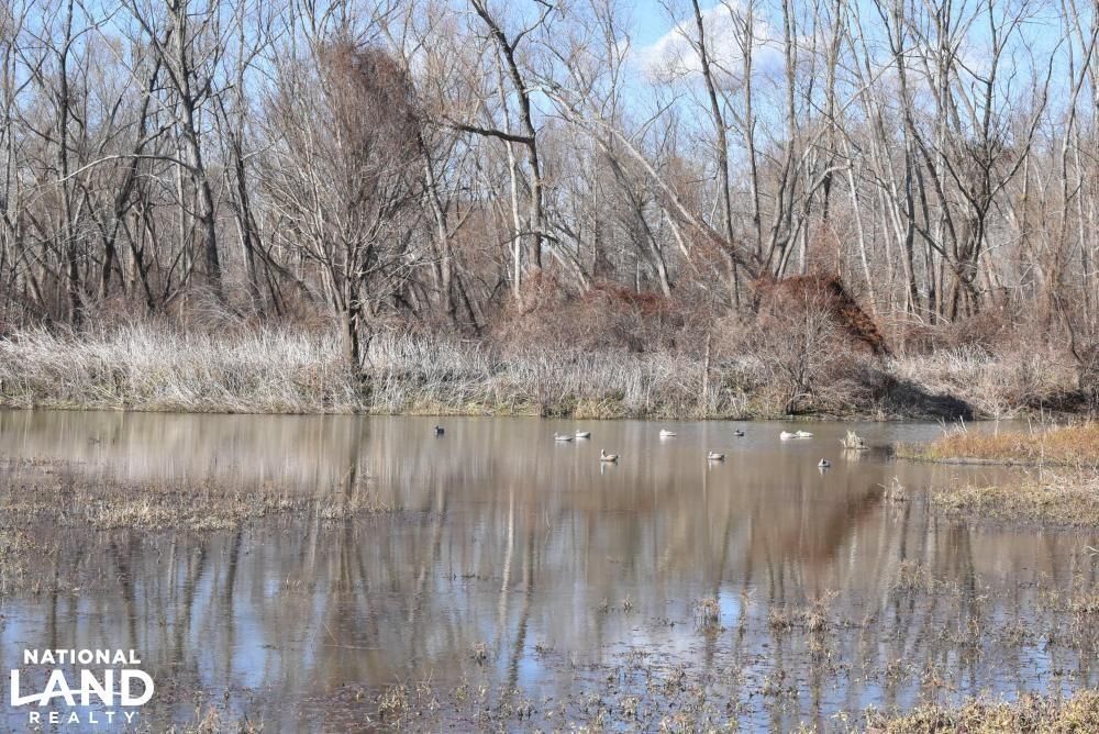 0 Lake Mary Rd., Woodville, MS 39669 Land and Farm