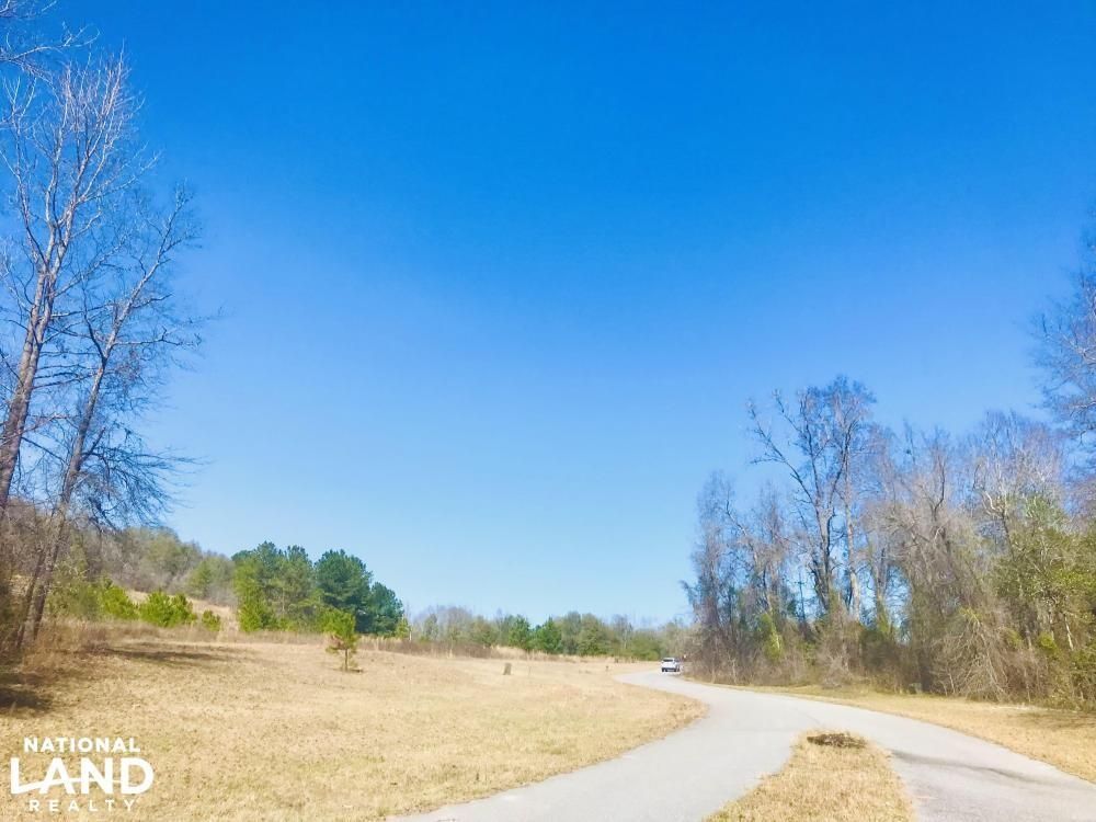 56 Acres, 501 GA Highway 137 A, Cusseta, GA 31805 Land and Farm