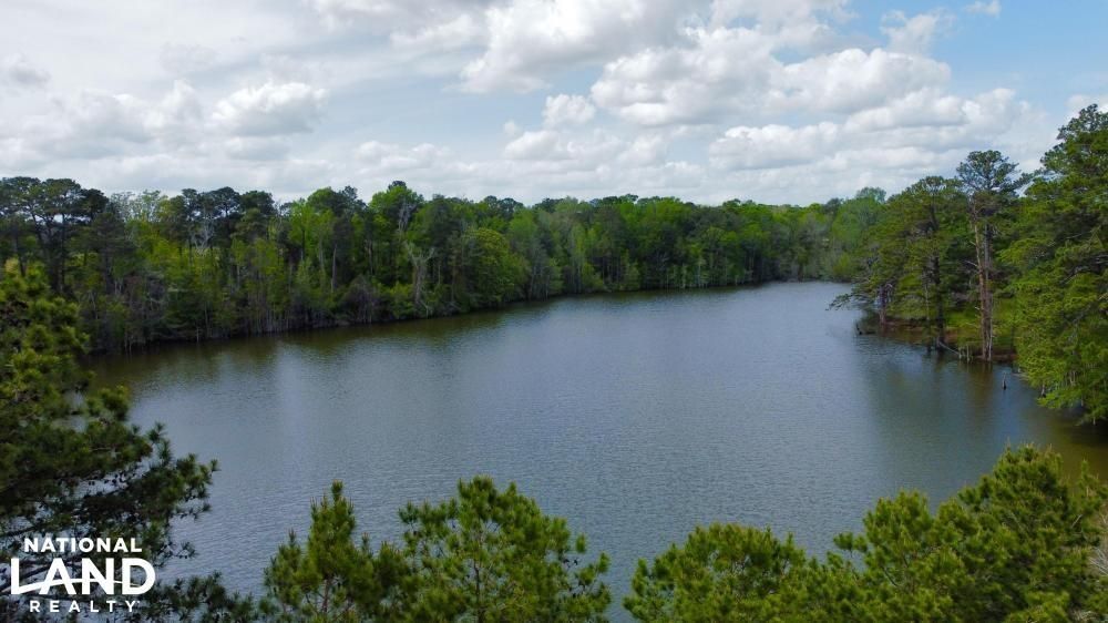 0 Highway 639, Coffee Springs, AL 36318 Land and Farm