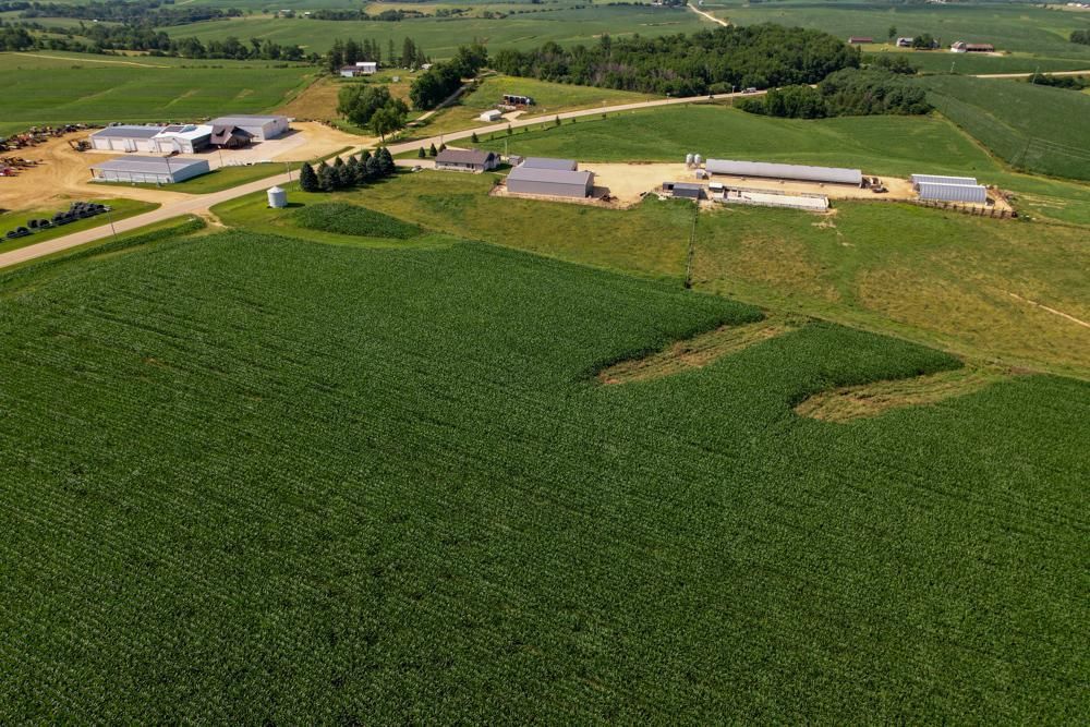 31207 Highway 64, Maquoketa, IA 52060 MLS Jackson 100 Land and Farm