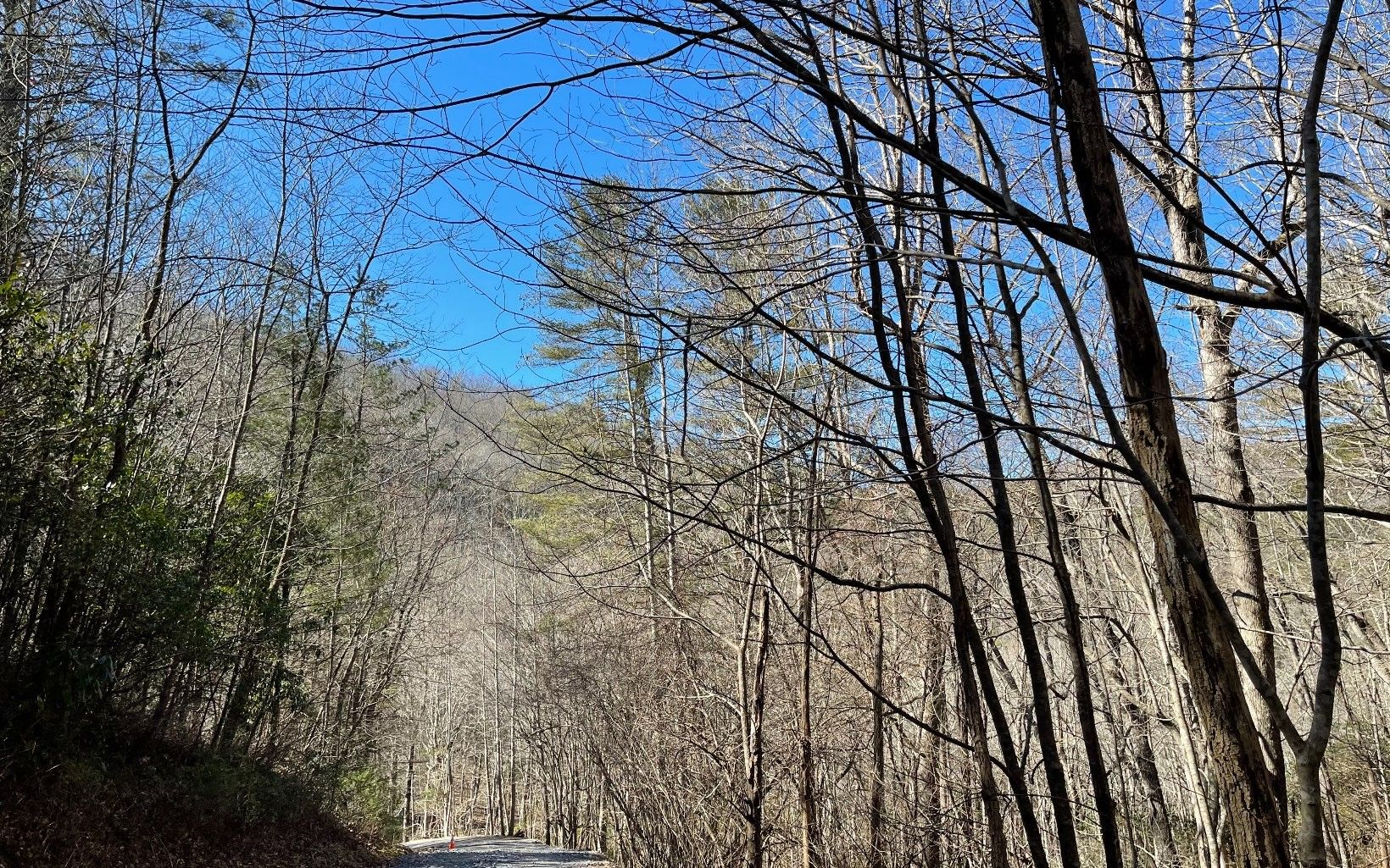 1.64 Acres, LT 42 SOAPSTONE Lot 42, Hiawassee, GA 30546 Land and Farm