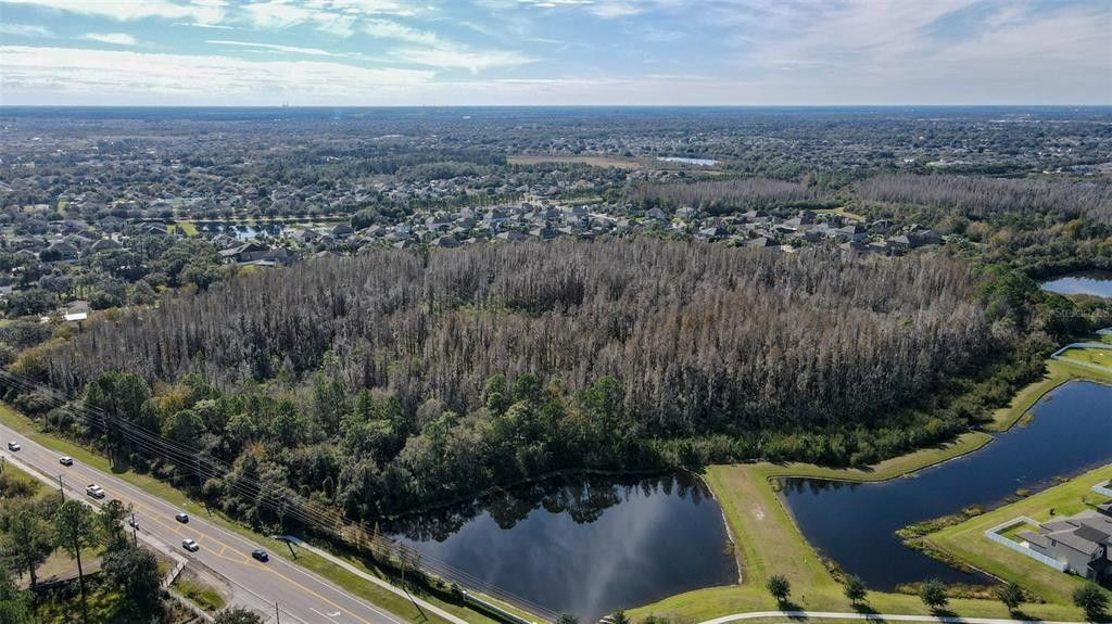 4.46 Acres, BALM RIVERVIEW, Riverview, FL 33579 Land and Farm