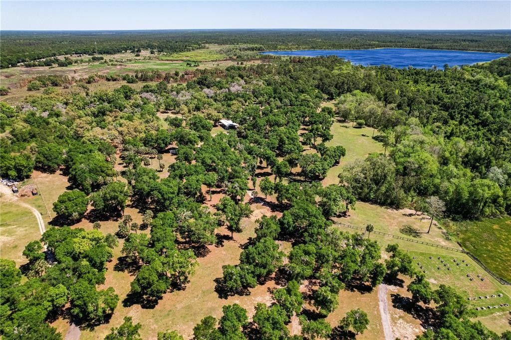 61 Acres, 02400 FISHERMANS ROAD, Paisley, FL 32767 Land and Farm