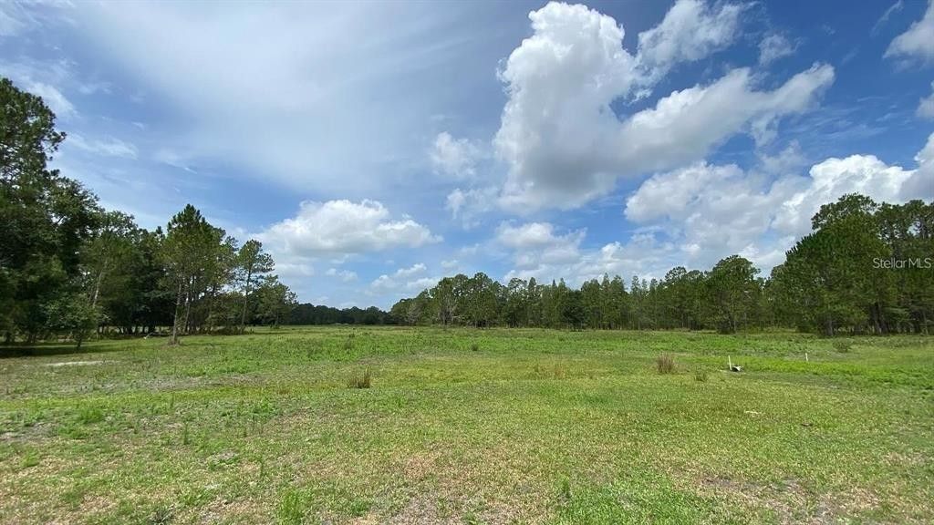 57.39 Acres, 10630 ROCKRIDGE ROAD, Lakeland, FL 33810 Land and Farm
