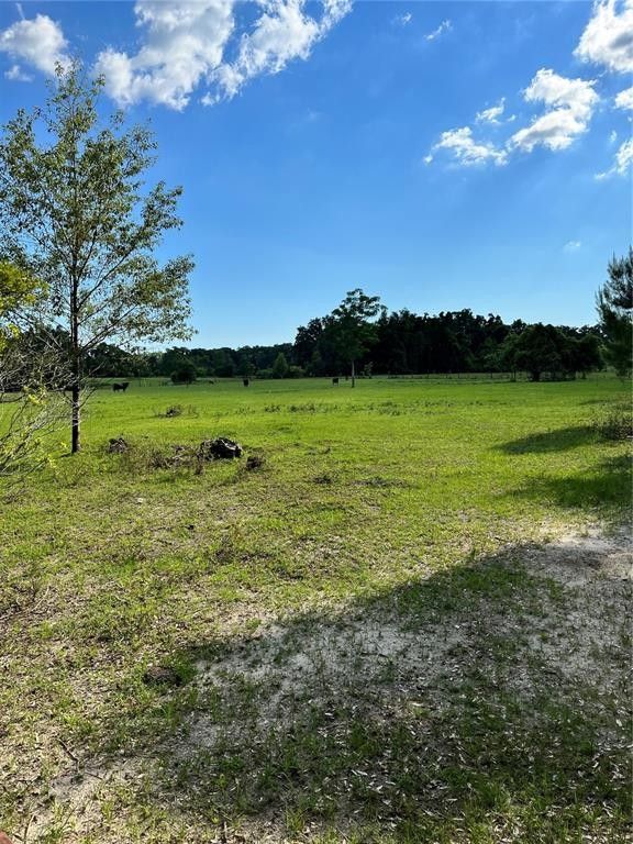 4 Acres, 00 SW 117TH COURT, Ocala, FL 34482 Land and Farm