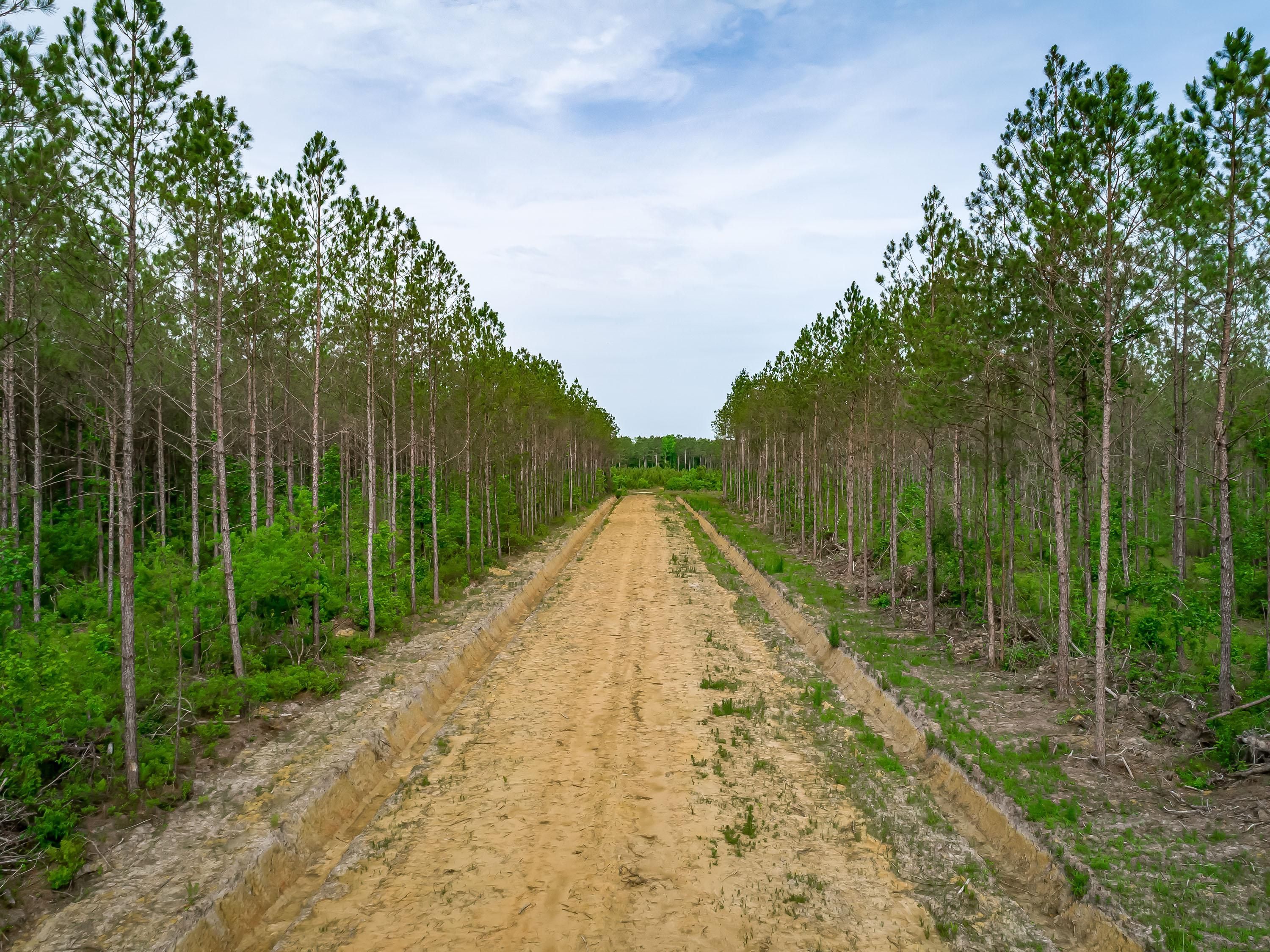 173.6 Acres, South Carolina 66, Loris, SC 29569 Land and Farm