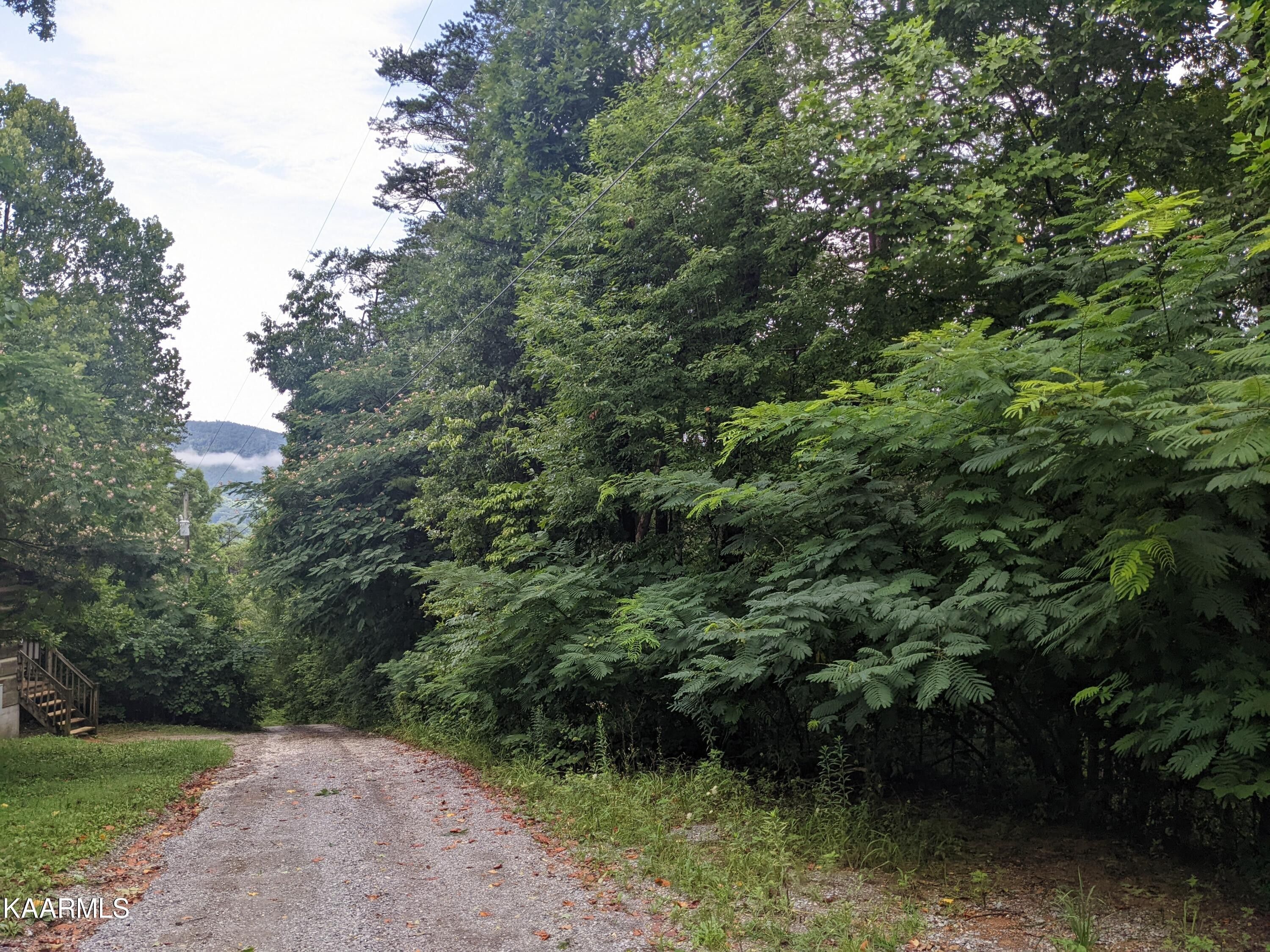 5.01 Acres, 211 Mountain Retreat Rd, Townsend, TN 37882 Land and Farm