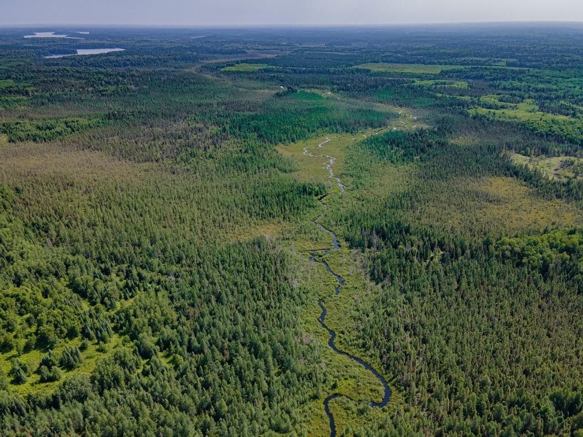 307 Acres, 307+/ac PINE LAKE RD, Minocqua, WI 54548 Land and Farm