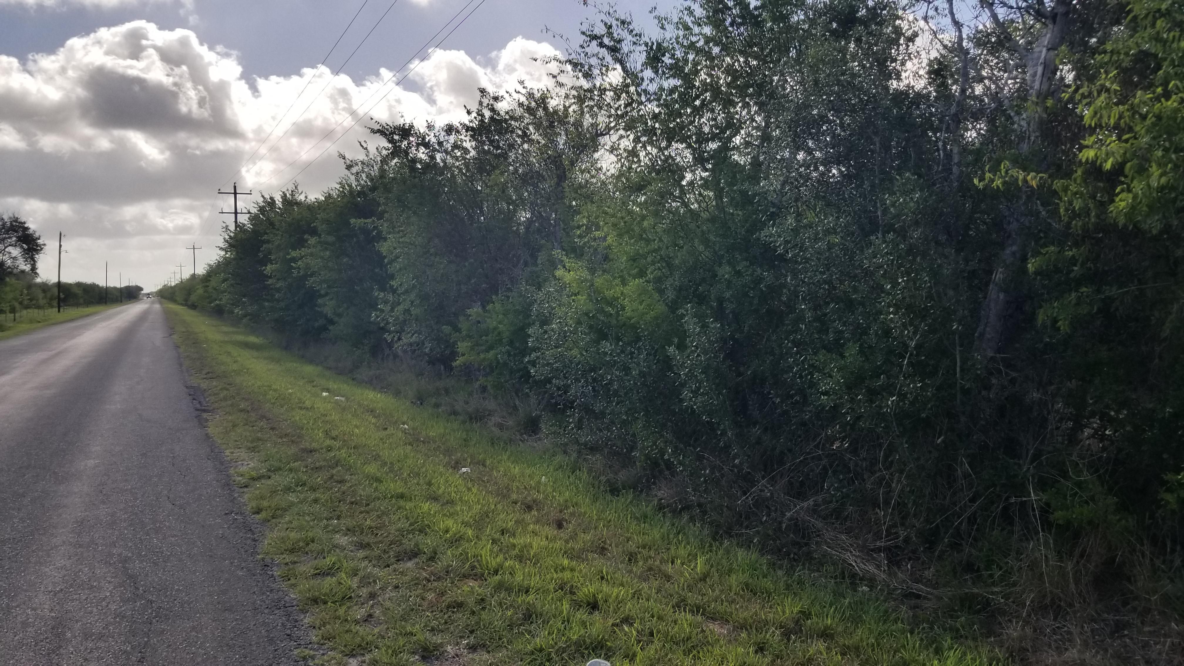 198 Acres, Skidmore, TX 78389 Land and Farm