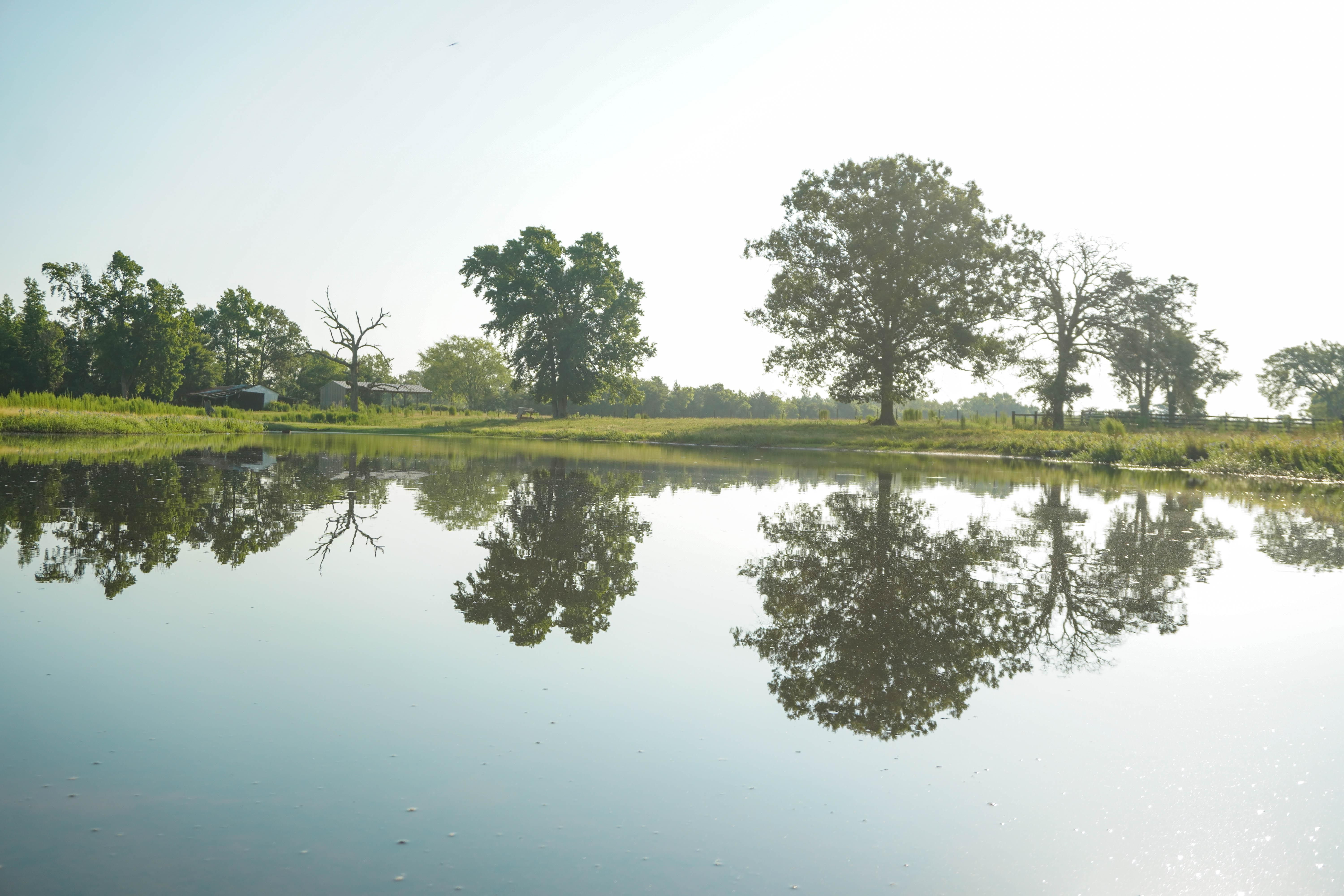 27 Acres, FM 235, Reklaw, TX 75784 Land and Farm