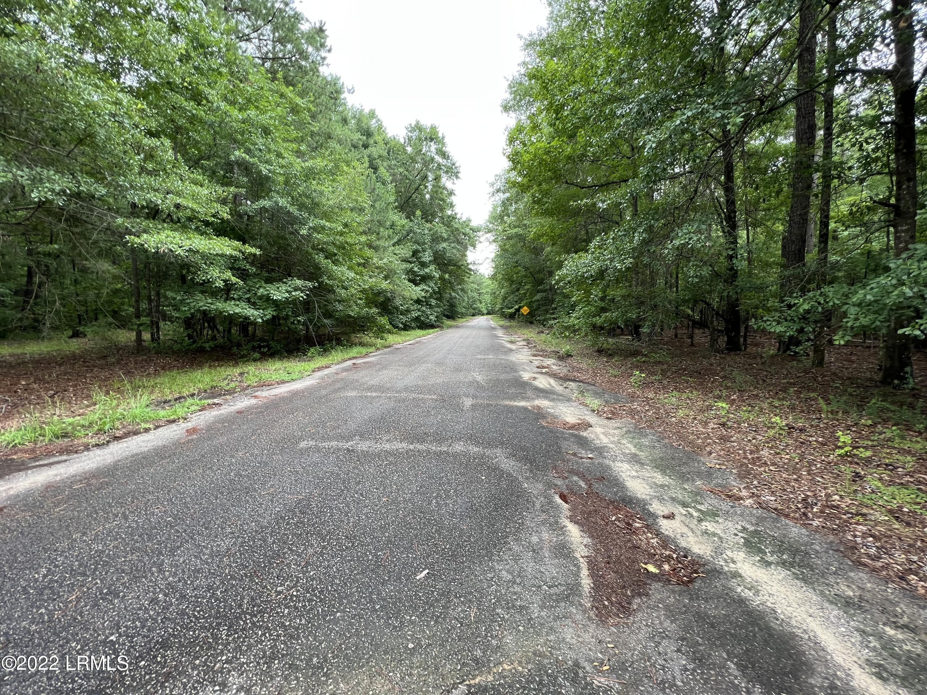 0.69 Acres, Tbd Wannamaker Drive, Barnwell, SC 29812 Land and Farm