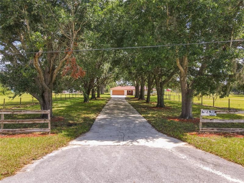 2810 Rooks Road, Davenport, FL 33837 MLS O6041934 Land and Farm