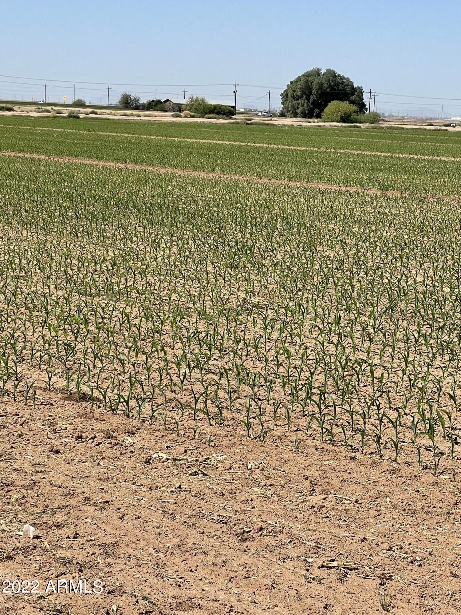 5.2 Acres, LOT A N Clemans Road, Coolidge, AZ 85128 Land and Farm