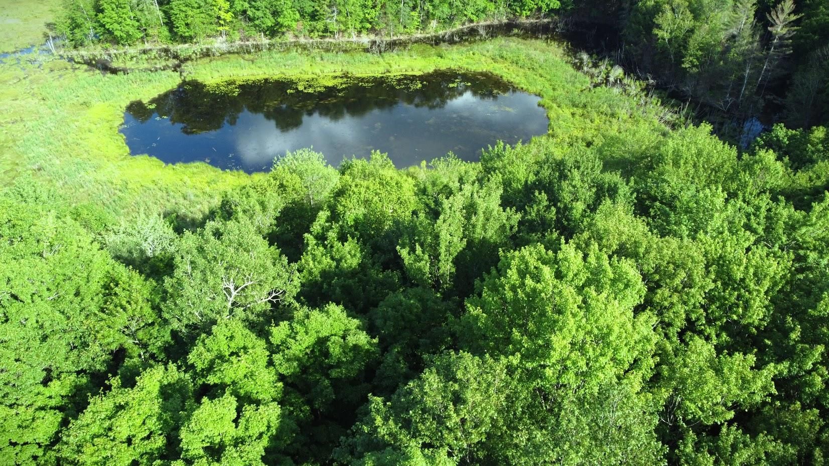 11.16 Acres, 80 lily Lake Road, Crandon, WI 54520 Land and Farm