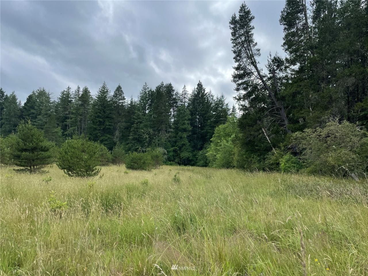 21.82 Acres, 0 Classe Road, Toledo, WA 98591 Land and Farm