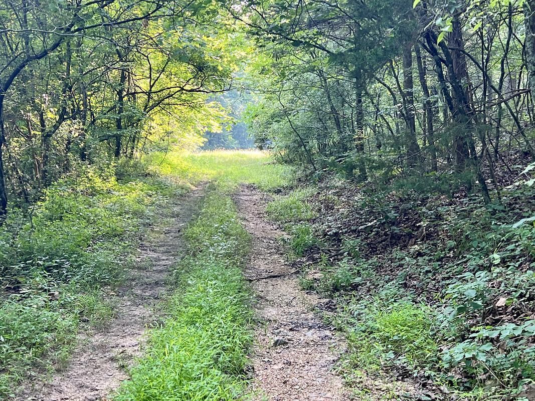 Pcr 730, Perryville, MO 63775 MLS 22334 Land and Farm