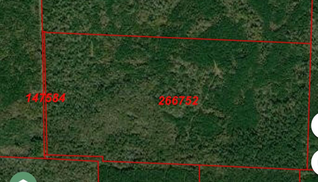 160 Acres, Devers, TX 77538 Land and Farm