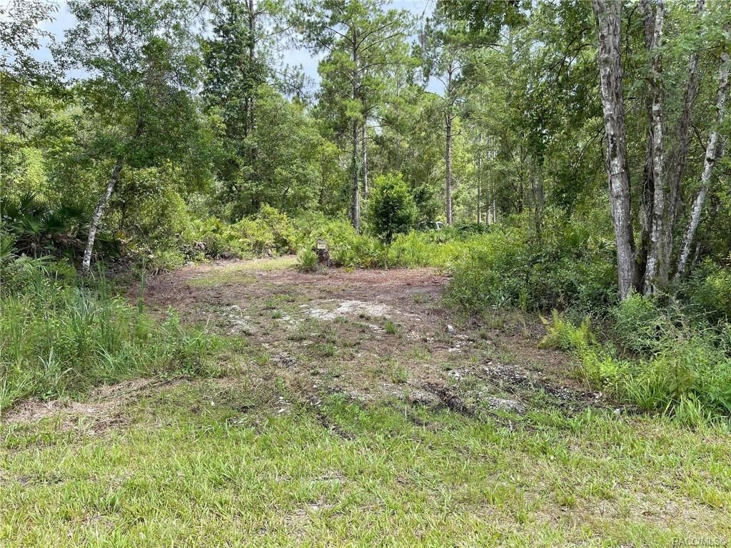 5.8 Acres, 0 CR 318, Citra, FL 32113 Land and Farm