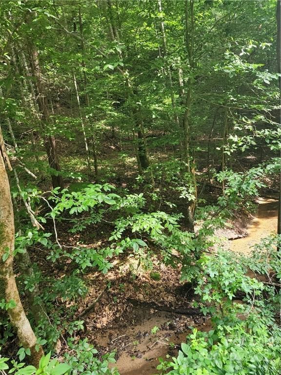 17.38 Acres, Zacks Fork Road, Lenoir, NC 28645 Land and Farm