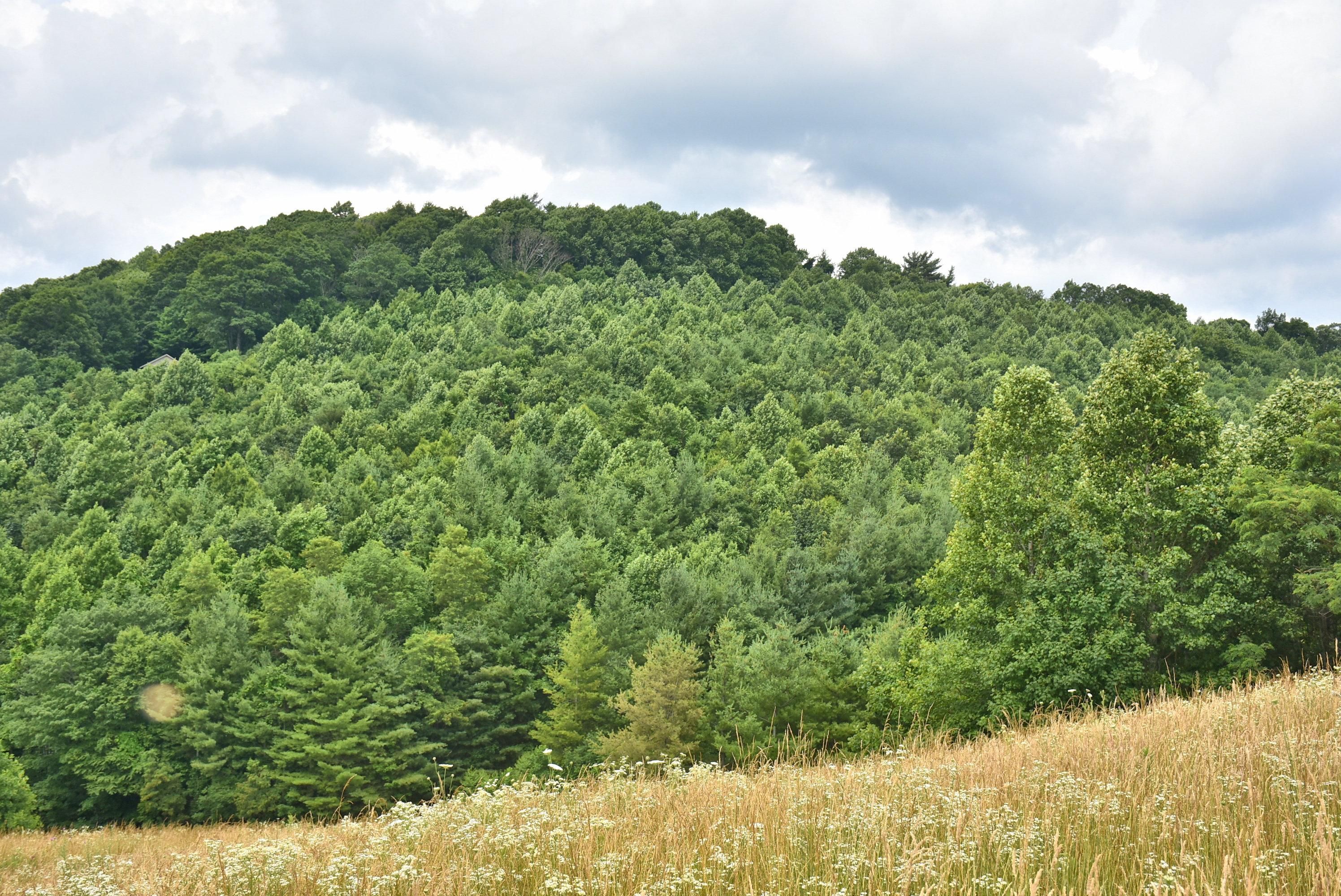 5.42 Acres, Big Flatts Church Rd., Fleetwood, NC 28626 Land and Farm