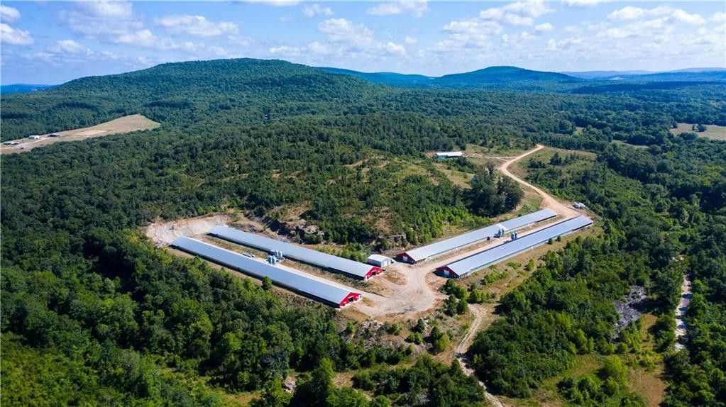 60 Acres, 89699 S CR 4712 RD, Stilwell, OK 74960 Land and Farm