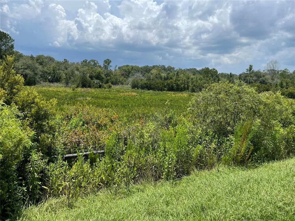 1.64 Acres, ERNIE CALDWELL BOULEVARD, Davenport, FL 33837 Land and Farm