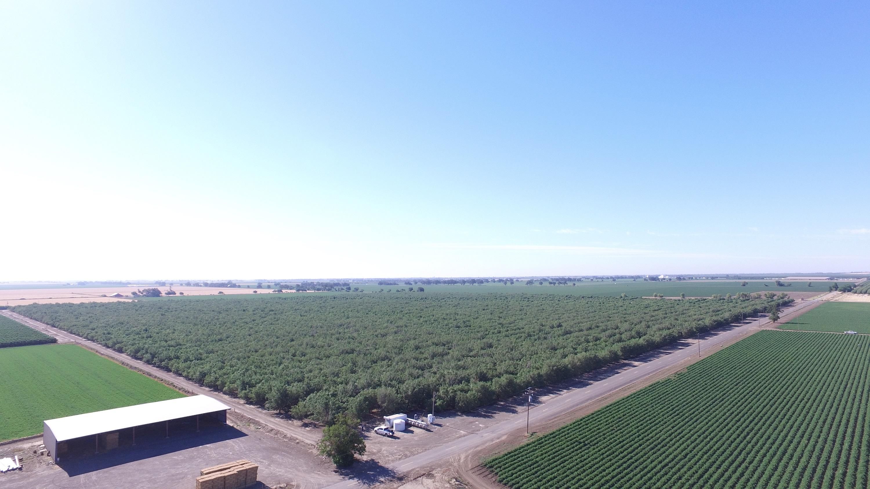 00 County Road 13, Zamora, CA 95698 Land and Farm