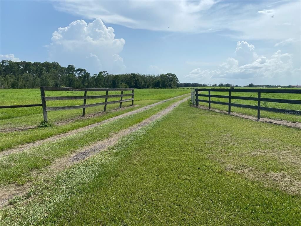 59 Acres, 9622 PINE ISLAND ROAD, Clermont, FL 34711 Land and Farm