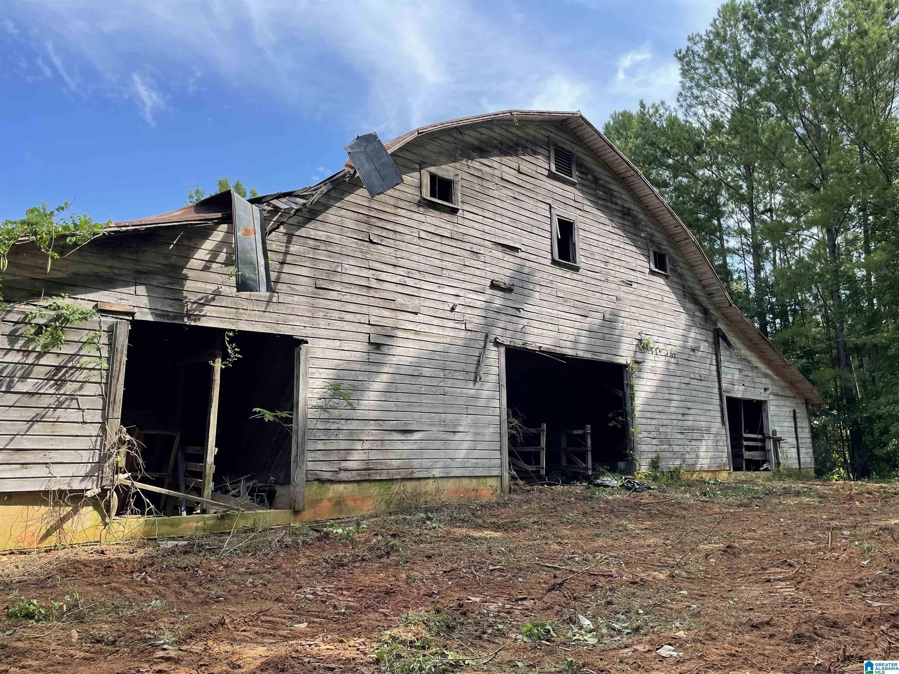 17 Acres, 0 COUNTY ROAD 39, Wadley, AL 36276 Land and Farm