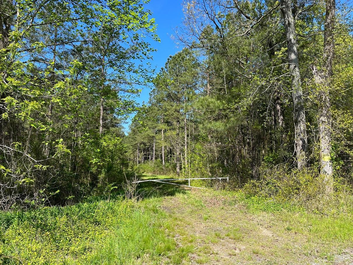 148 Acres, Tann Road, Branchville, VA 23828 Land and Farm