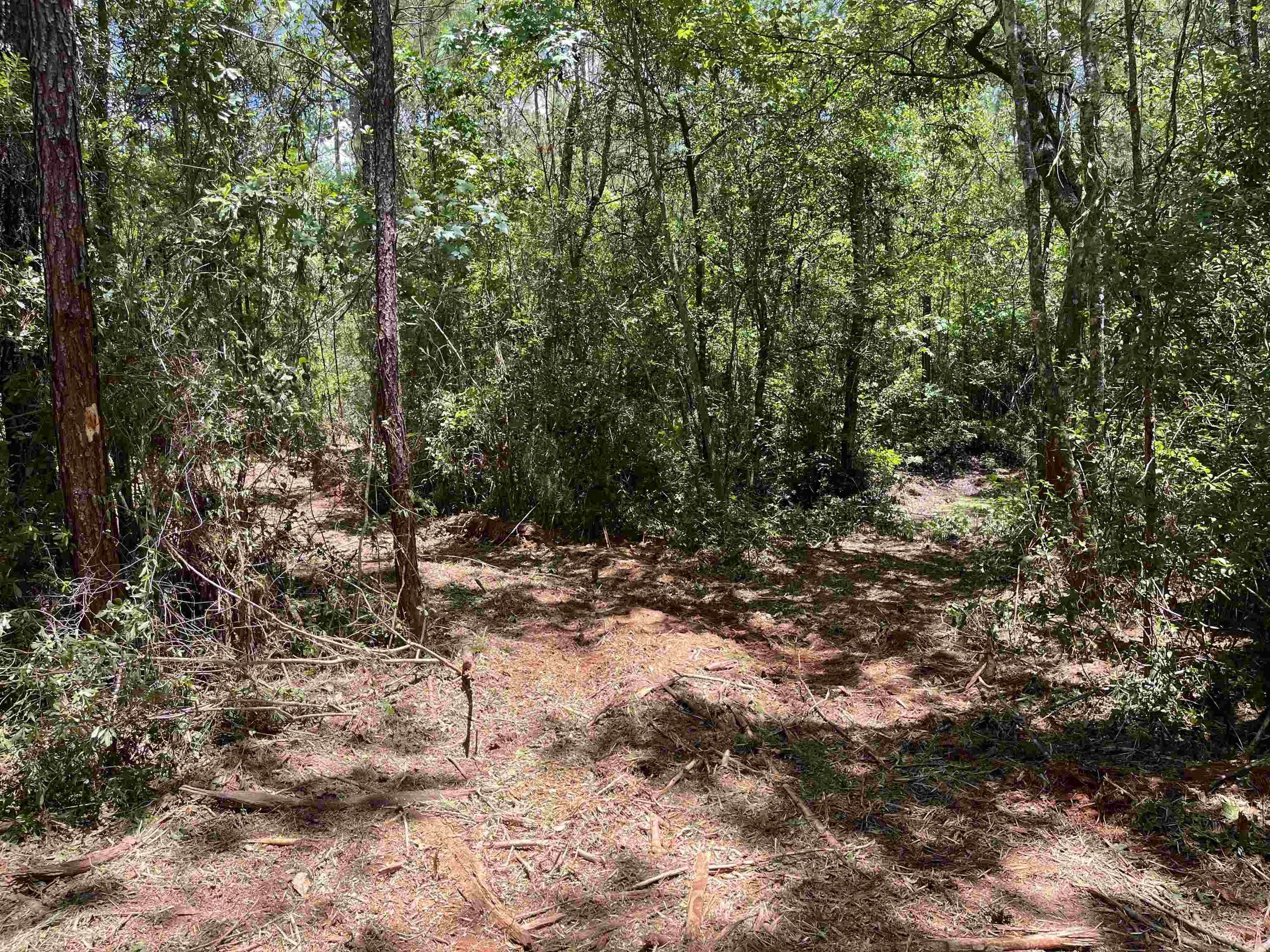 10 Acres, TBD Ashville, Greenville, FL 32331 Land and Farm