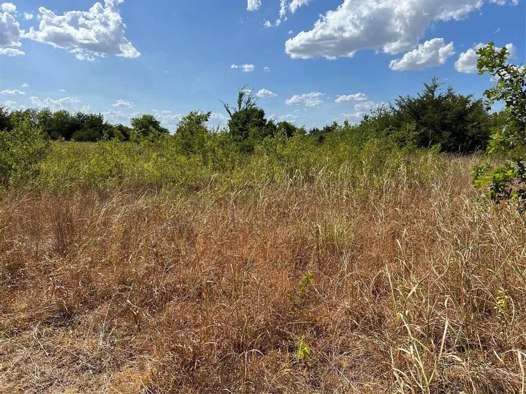 10 Acres, Tbd County Rd 4233, Bonham, TX 75418 Land and Farm