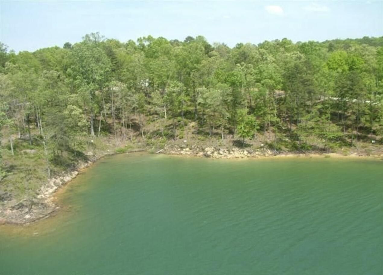 1.8 Acres, LOT 59 COUNTY ROAD 3914, Arley, AL 35541 Land and Farm